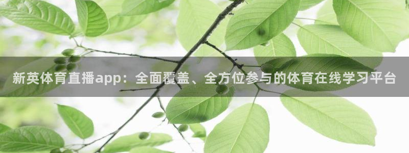 833足球直播网：新英体育直播app：全面覆盖、全方位参与的体育在线学习平台