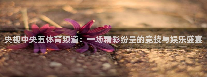 833足球直播比赛在线观看：央视中央五体育频道：一场精彩纷呈的竞技与娱乐盛宴