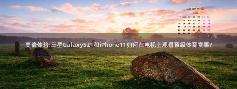833体育：高清体验:三星GalaxyS21和iPhone11如何在电视上观看顶级体育赛事?