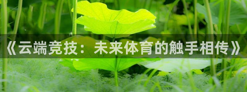 球帝带833赛事直播：《云端竞技：未来体育的触手相传》