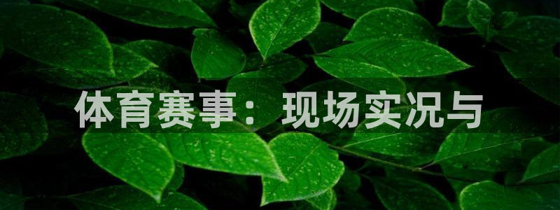 833nba直播在线观看免费：体育赛事：现场实况与