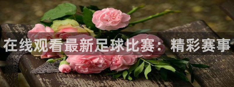 足球比赛直播间833：在线观看最新足球比赛：精彩赛事