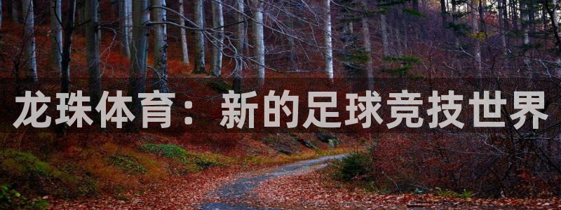 833足球直播免费直播：龙珠体育：新的足球竞技世界