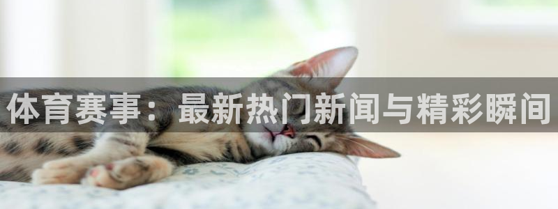 833足球视频直播：体育赛事：最新热门新闻与精彩瞬间