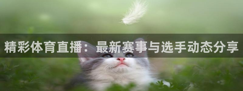 833体育直播免费观看：精彩体育直播：最新赛事与选手动态分享